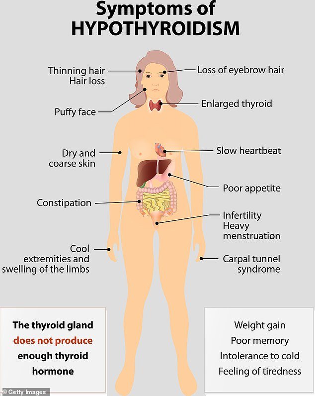 أصبحت بريانا تعود إلى أي خطأ من جانبها ... وهناك الملايين مثلها تمامًا 6 96120041 14465083 image a 7 1741812196323