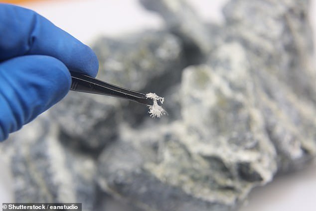 يموت أكثر من 5000 شخص سنويًا من الأمراض المتعلقة بالأسبستوس ، بما في ذلك أشخاص مثل مارك الذين لم يكن لديهم سبب للشك في أنهم ربما استنشقوا الألياف المميتة