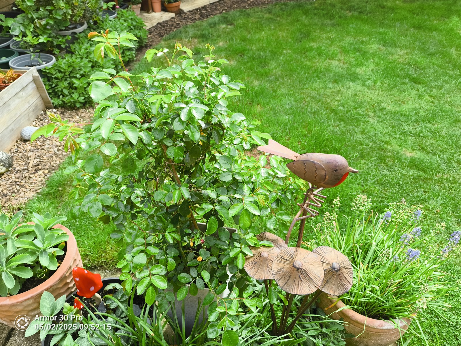 Ulefone Armor 30 Pro Photo Examples