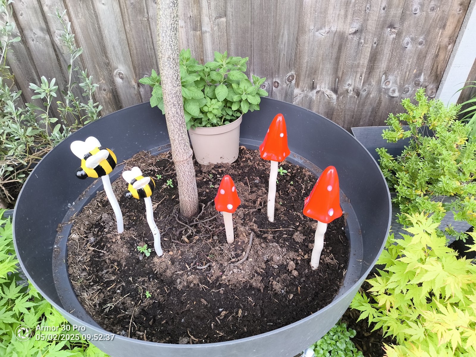 Ulefone Armor 30 Pro Photo Examples