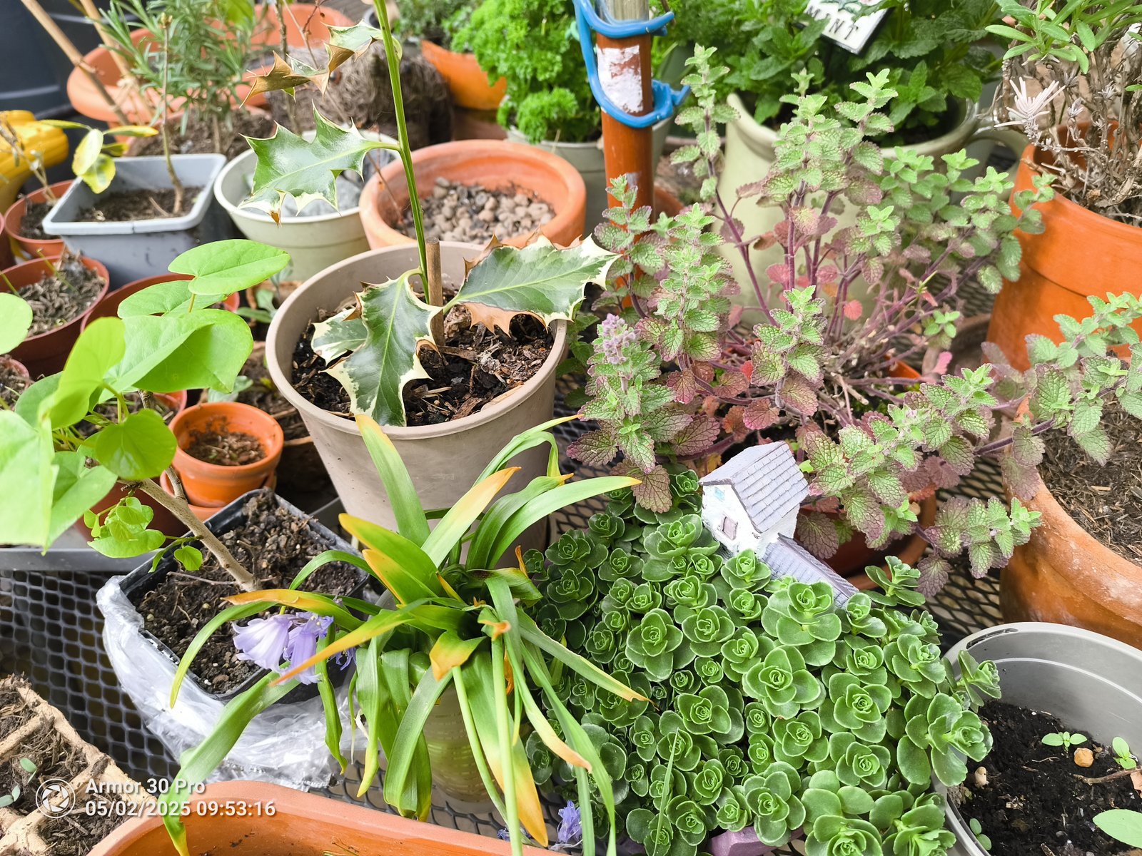 Ulefone Armor 30 Pro Photo Examples