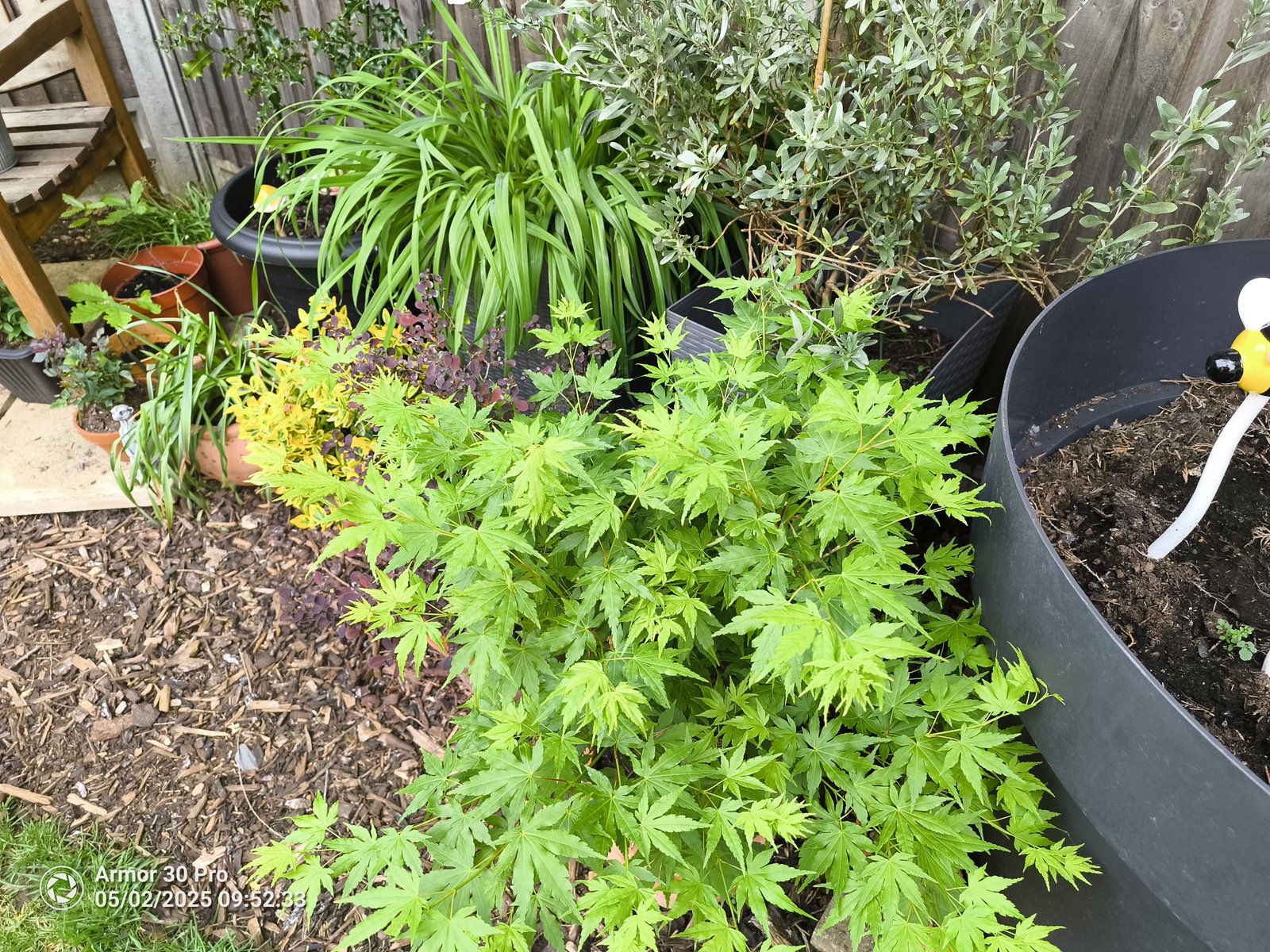 Ulefone Armor 30 Pro Photo Examples