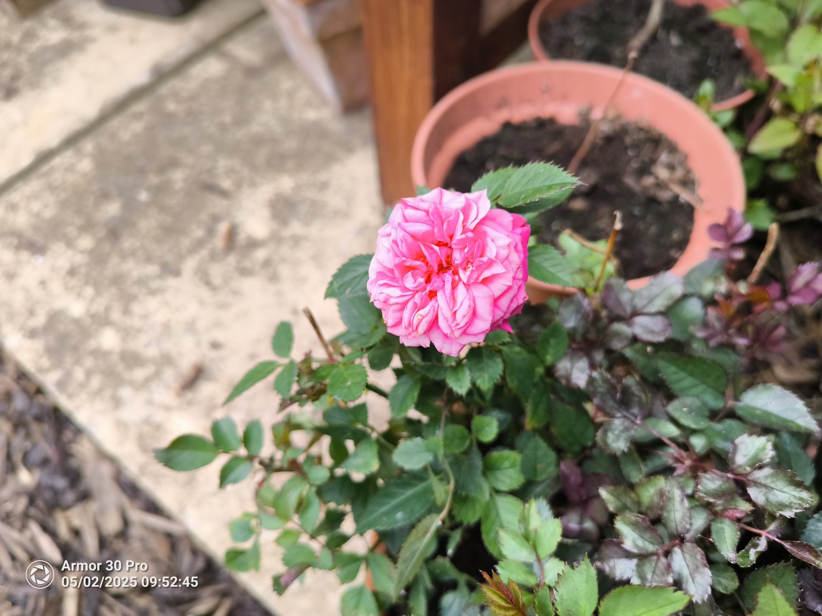 Ulefone Armor 30 Pro Photo Examples