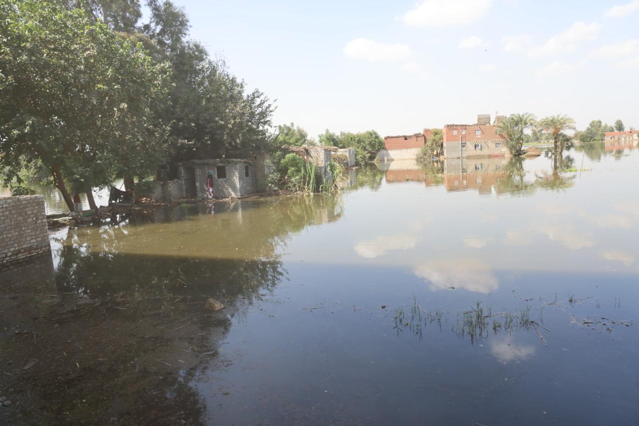 قرية مصرية تواجه مأساة بعد غرقها بمياه النيل.. ما علاقة سد النهضة؟ (فيديو)