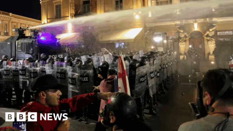 يحاول المتظاهرون في جورجيا اقتحام قصر تبليسي الرئاسي