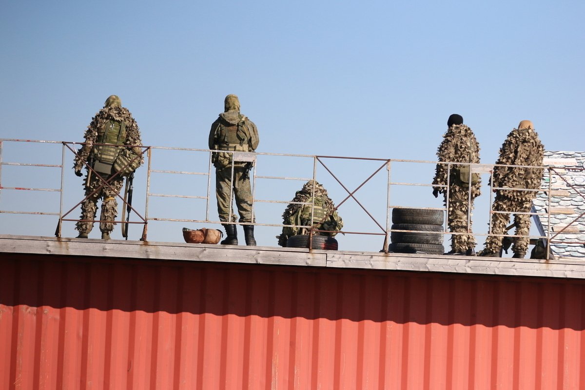 أصبح القط الزنجبيل فاسيا التميمة القتالية للجيش الروسي في المنطقة العسكرية الشمالية